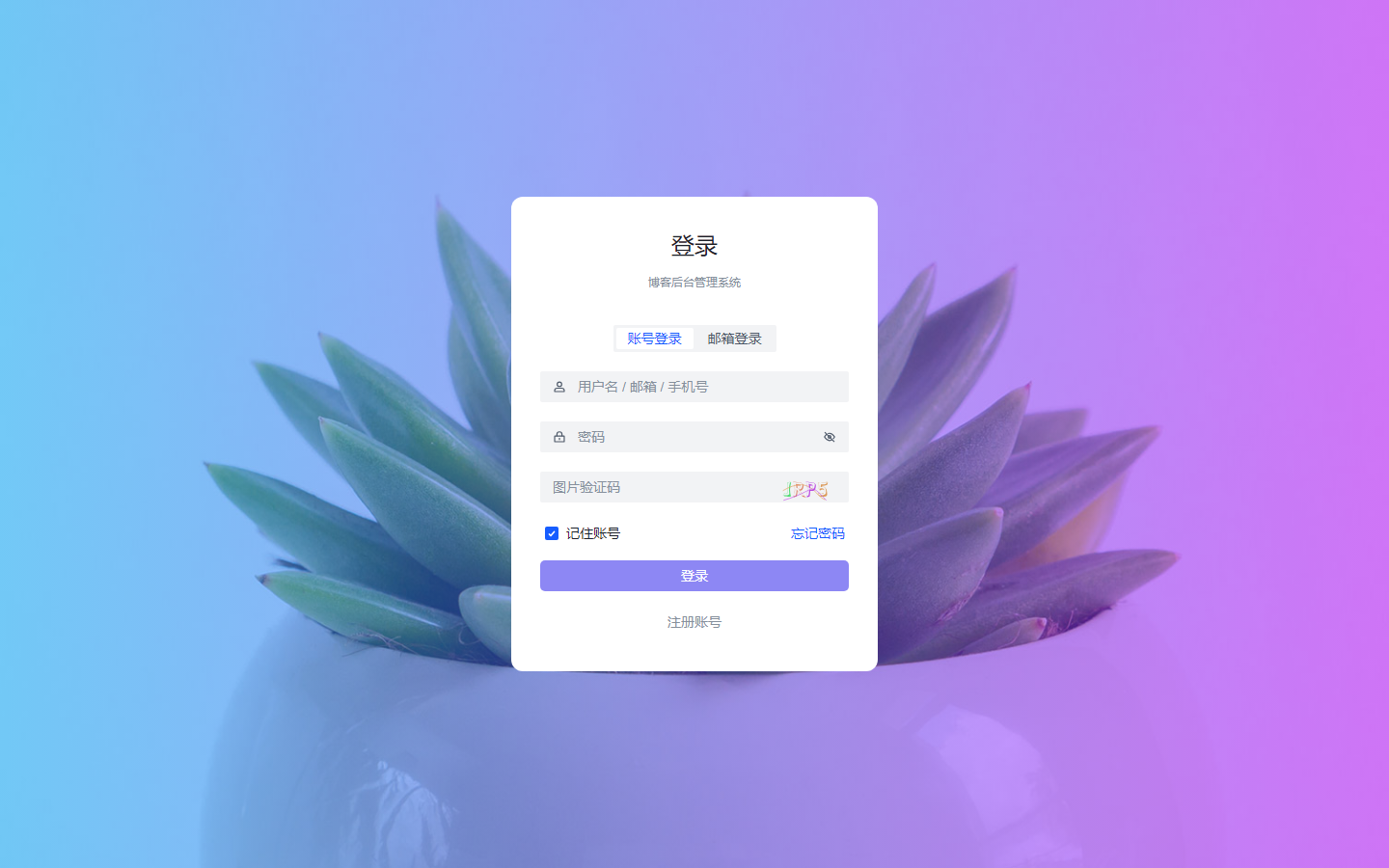 管理端登录页